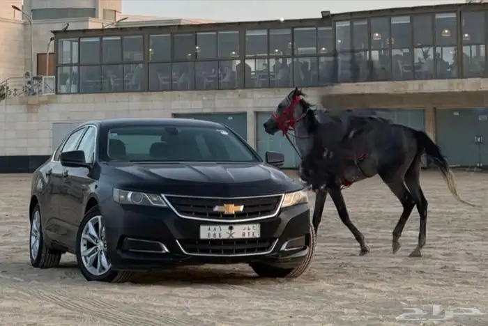 لوحة مميزة مصدر عطر 0