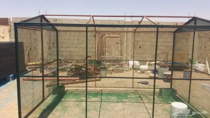 شبك حمام 2