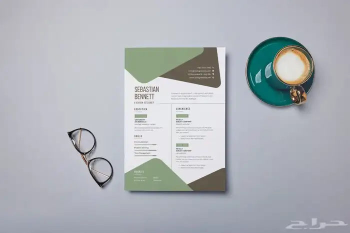 تصميم سيرة ذاتية CV 11