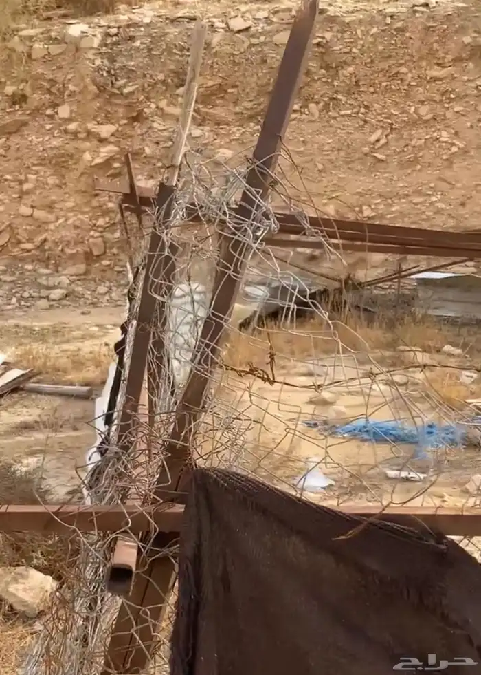 يوجد جديد وشبوك غنام البيع وادي العين 3