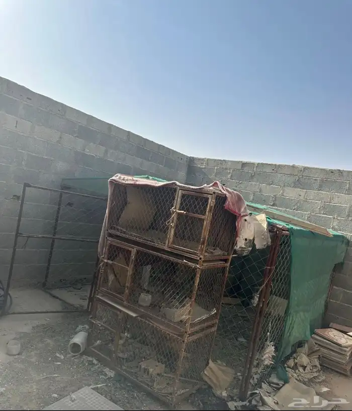 محكر حديد نضيف للبيع 0