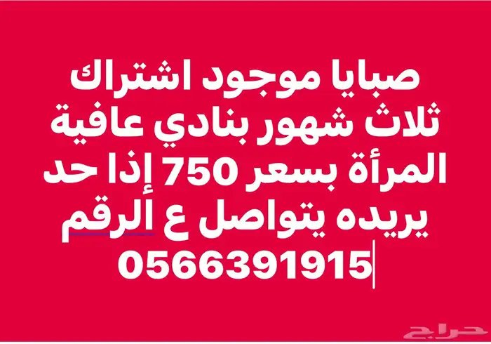 تبوك الدخل 2 حي الروضه 0
