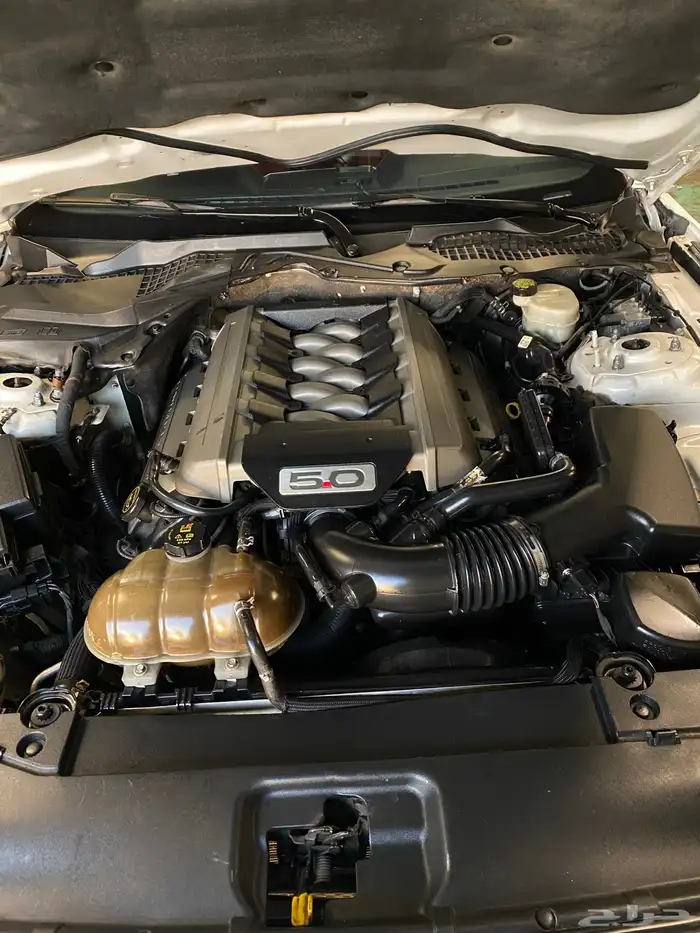 فورد موستنج جي تي بريميوم 2017 Ford Mustang GT 15