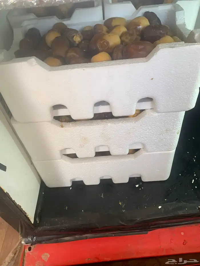 للبيع تمر عجوى 2