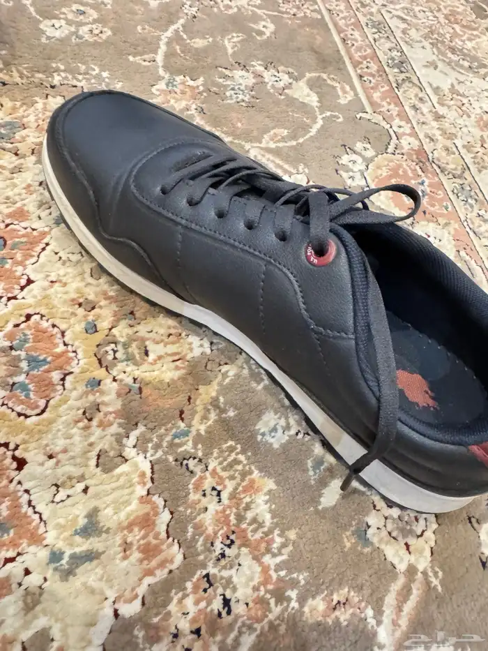 حذاء Polo اصلي.المقاس(43) 2