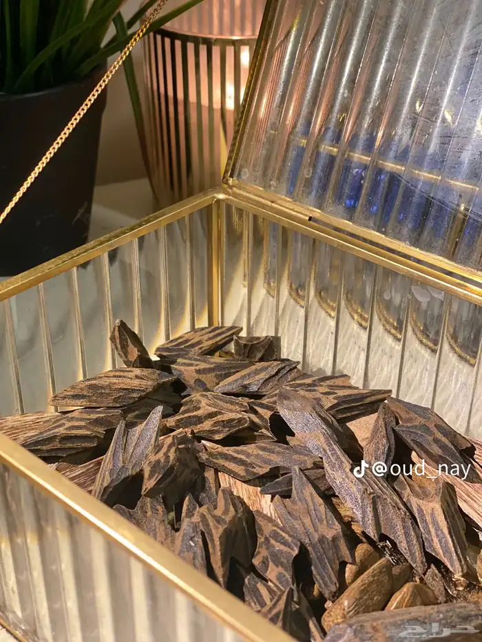 عود تايقر فاخر جدا  وثابت   عود مروكي فخم للمناسبات 1