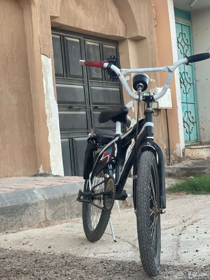 رامبو مقس20 0