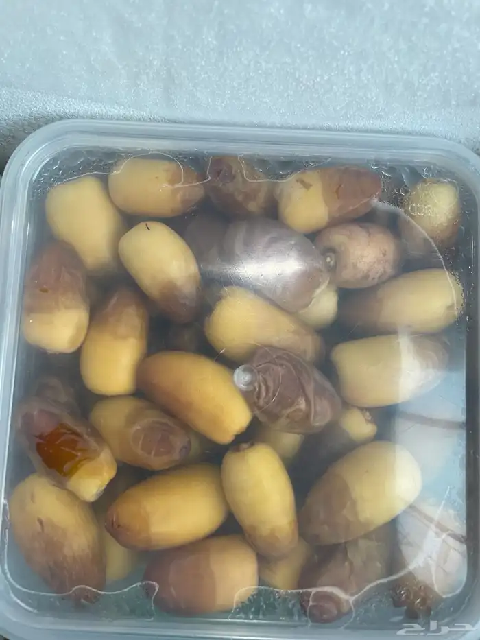 رطب صقعي للبيع 1