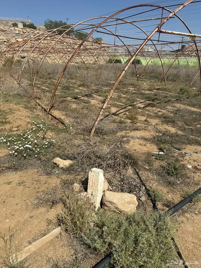 بيوت محميه 2
