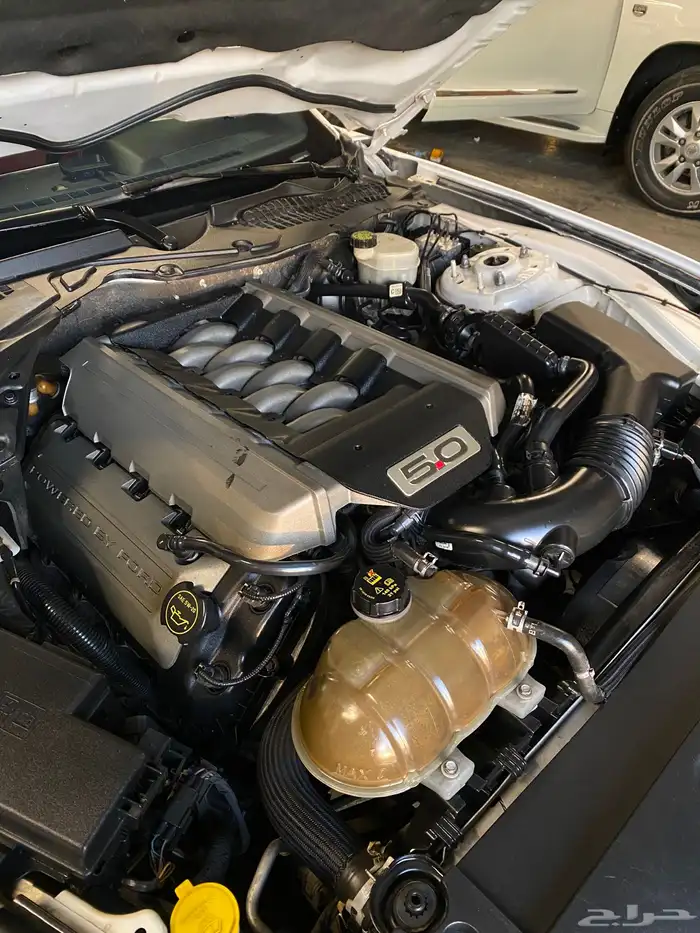 فورد موستنج جي تي بريميوم 2017 Ford Mustang GT 16