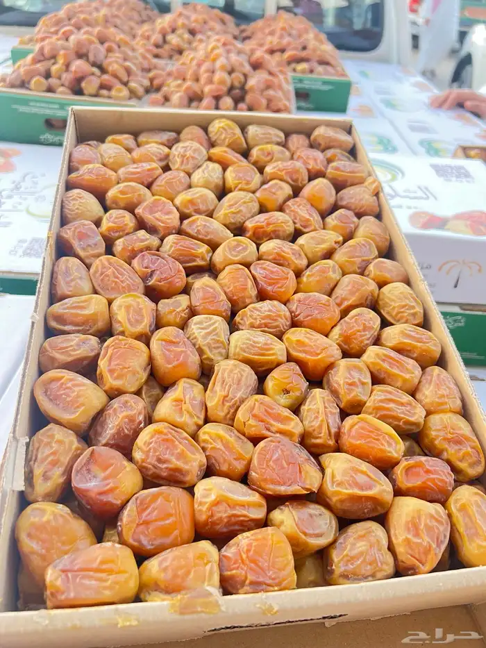 رطب سكري ملكي الإنتاج اليومي البيع على اعلى سوم 0