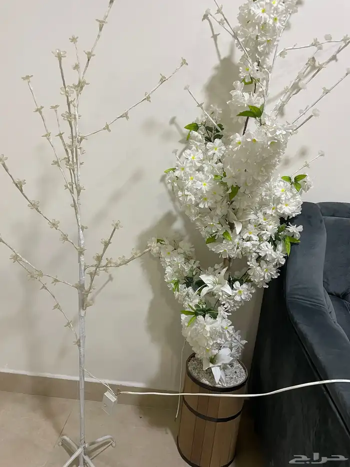 مدخل وطاولات 2