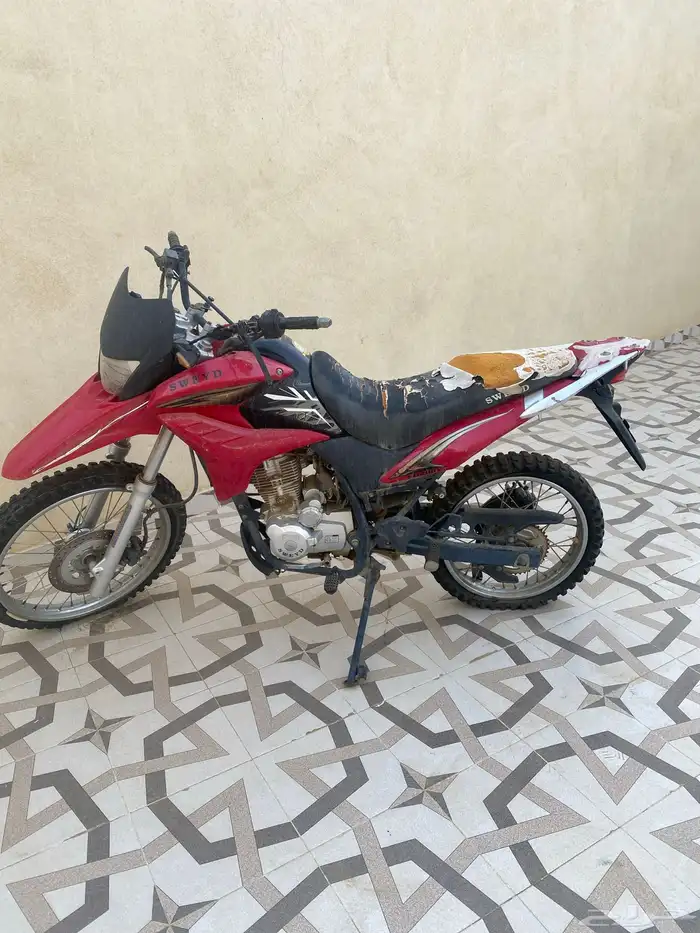 دباب صحرواي 1