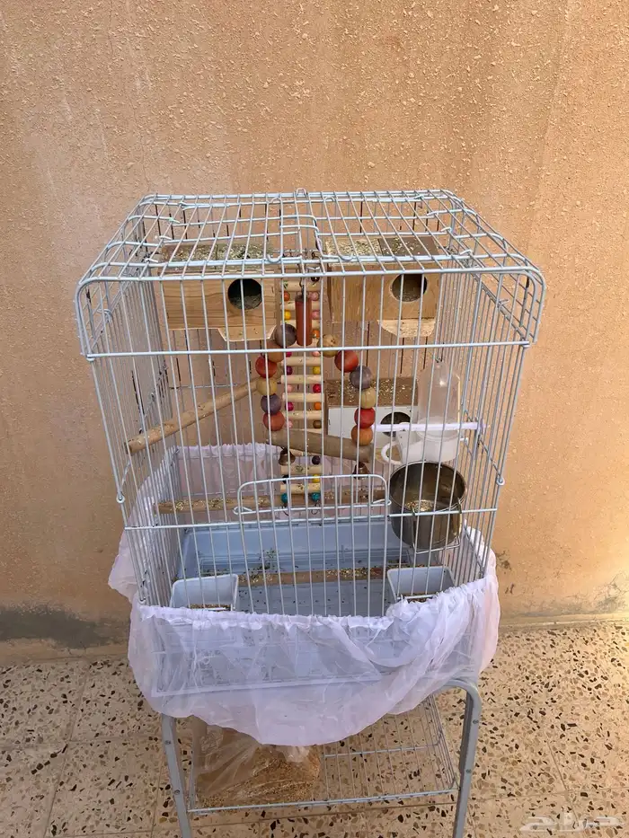 بادجي هوقو وقفص كبير 11