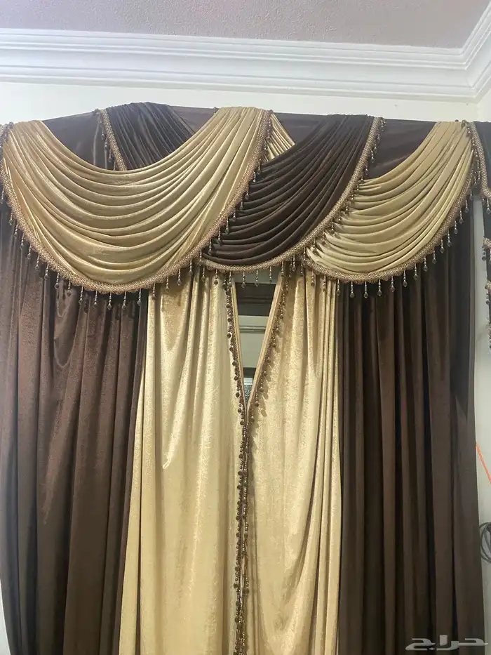 ستاره بني مع بيج 0