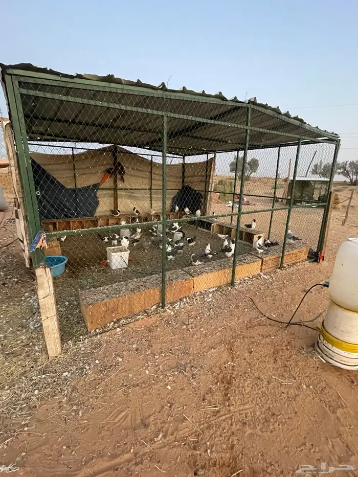 حمام كنق فاخر 6