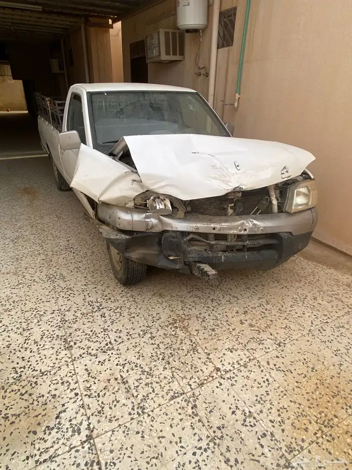 ددسن مديل 2013 2