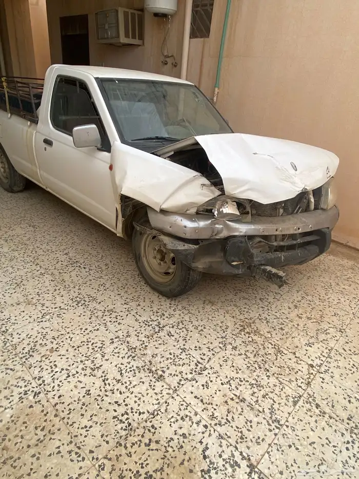 ددسن مديل 2013 1
