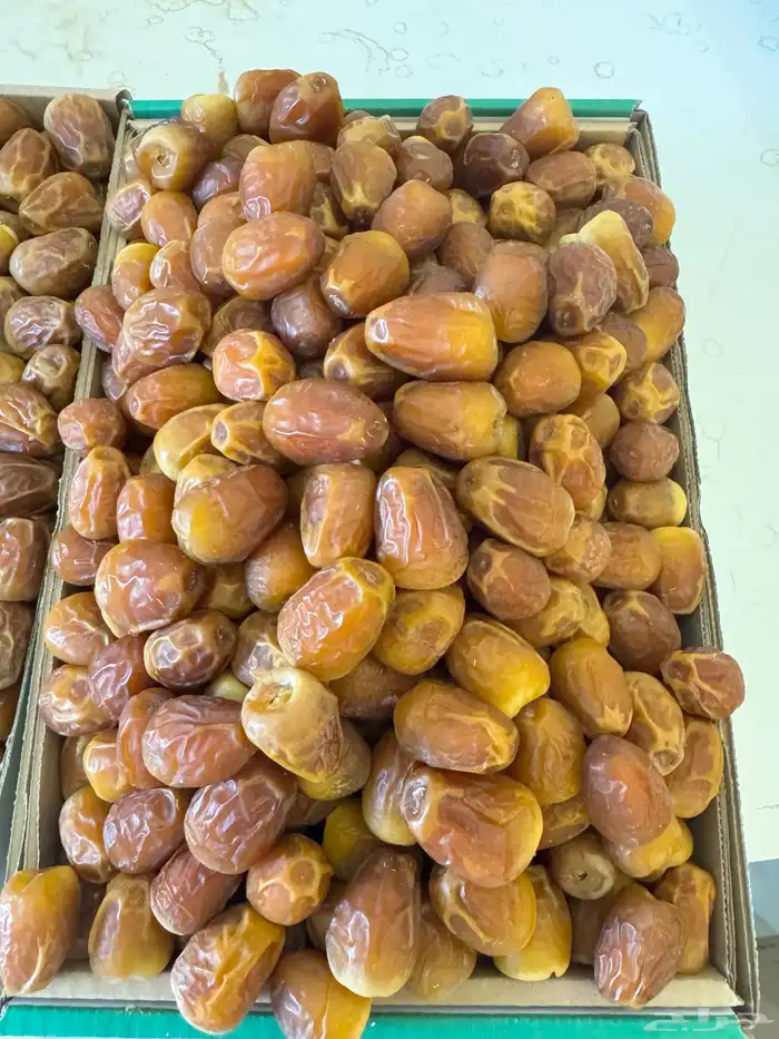 تمر سكري جالكسي فاخر ومفتل درجة اولى 0