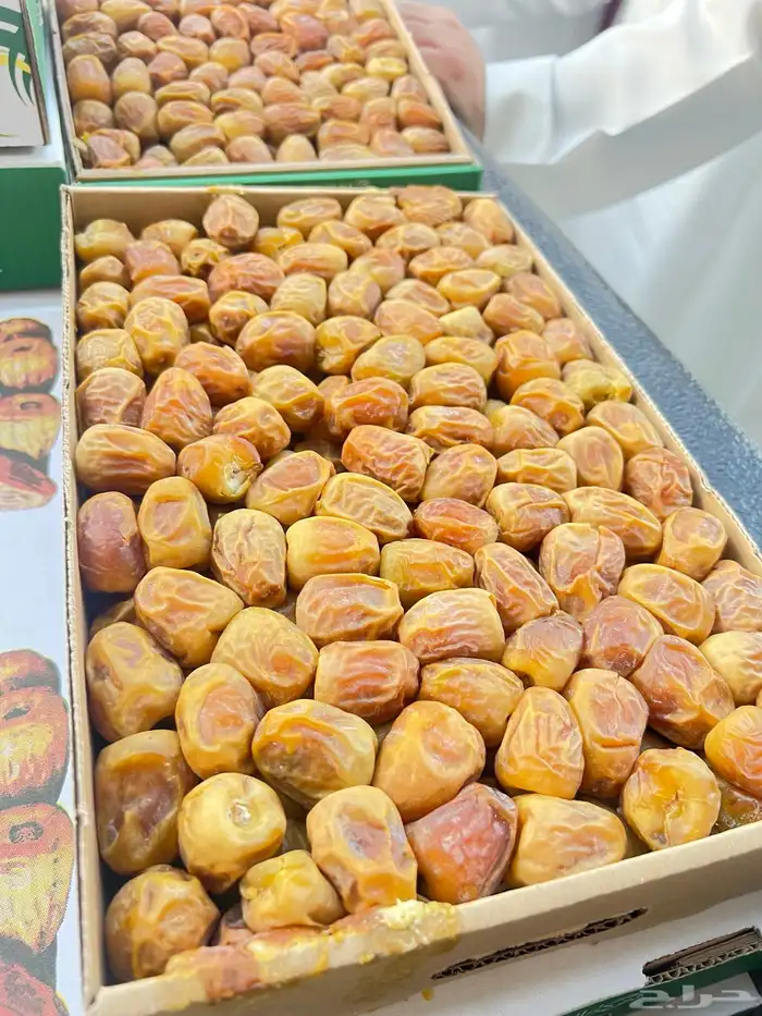 رطب سكري ملكي الإنتاج اليومي البيع على اعلى سوم 1