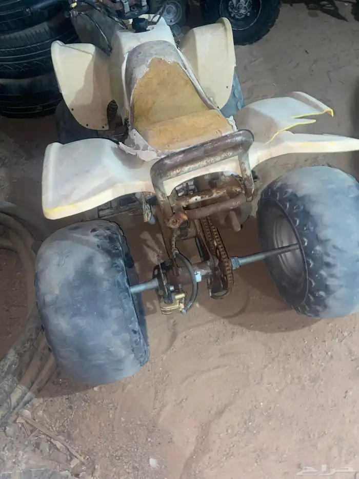 دباب سويدي تايواني 100cc 1