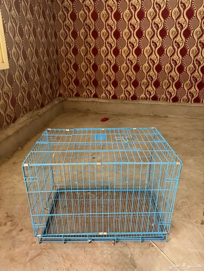 شبك لقطط 0