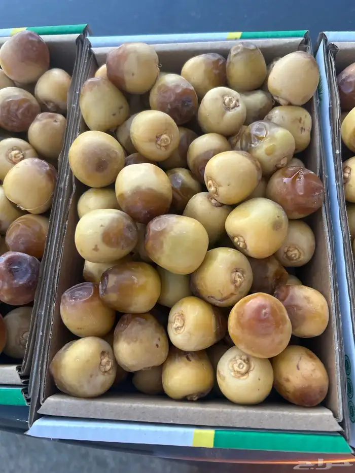 مناصيف حوشانه 0