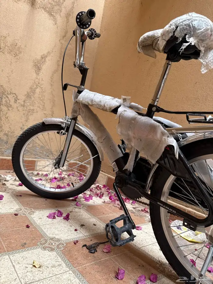 سيكل اندلوسي 1