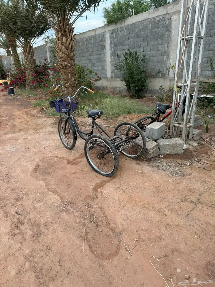 الرياض تبراك 3