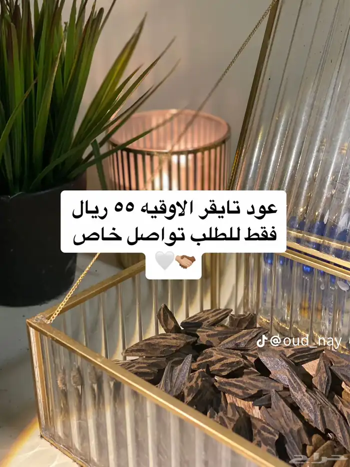 عود تايقر فاخر جدا  وثابت   عود مروكي فخم للمناسبات 0