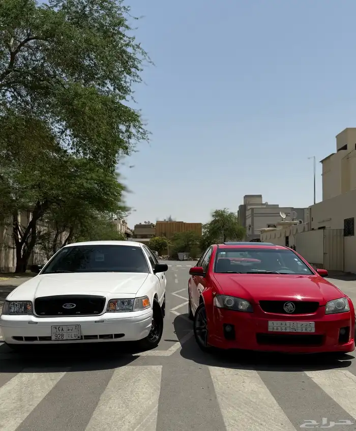 لومينا ss 2007 16
