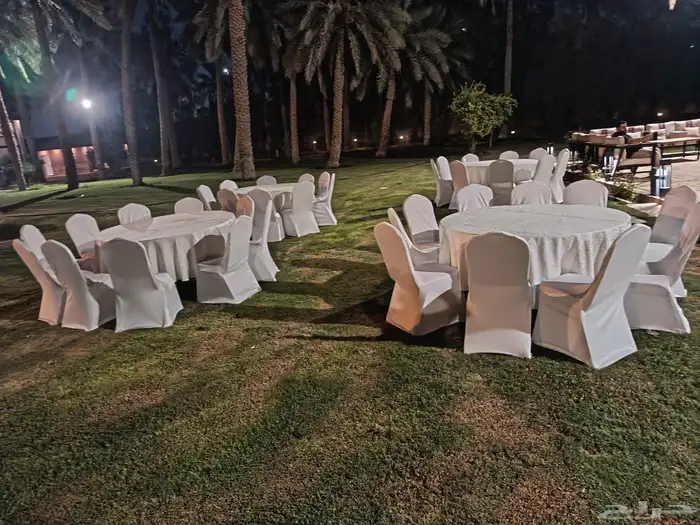 تاجير كراسي تاجير طاولات طعام تاجير كنب وكراسي 3