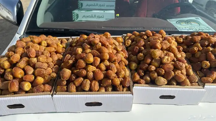 تمر القصيم خراف سنه 1447. جميع مناطق المملكه 3