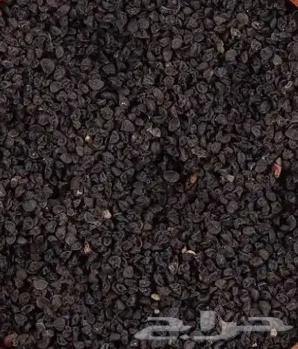 بذور بصل حساوي 1 كيلو 0