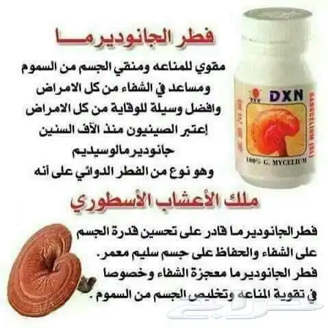 التواصل الواتساب 5