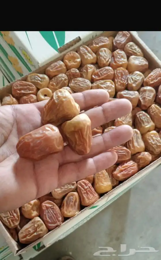 تمر سكري فاخر توصيل جميع مناطق المملكة ودول الخليج 2