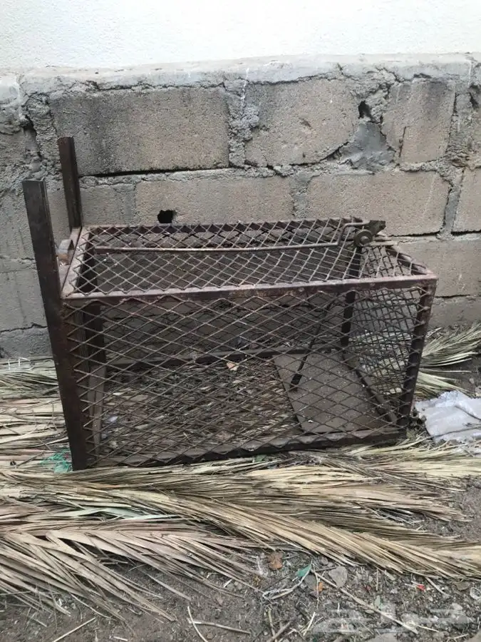 مصيده للبيع 0