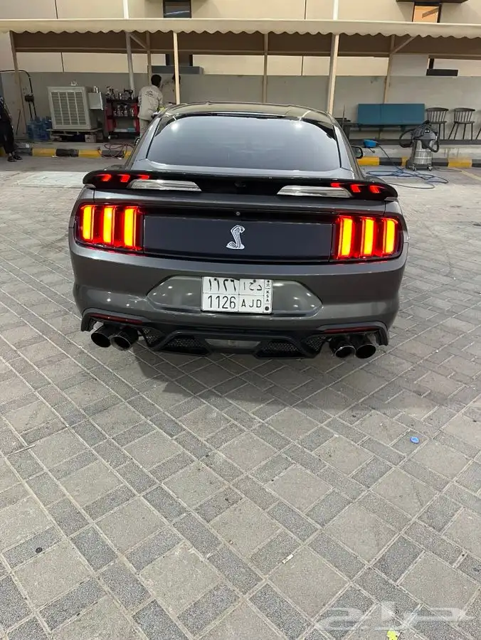 موستنق GT 5.0 2015 3