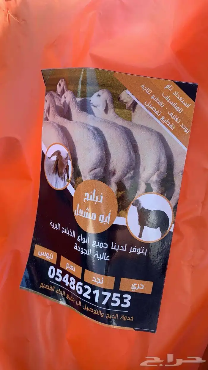 ذبايح القصيم ذبايح الرس 3