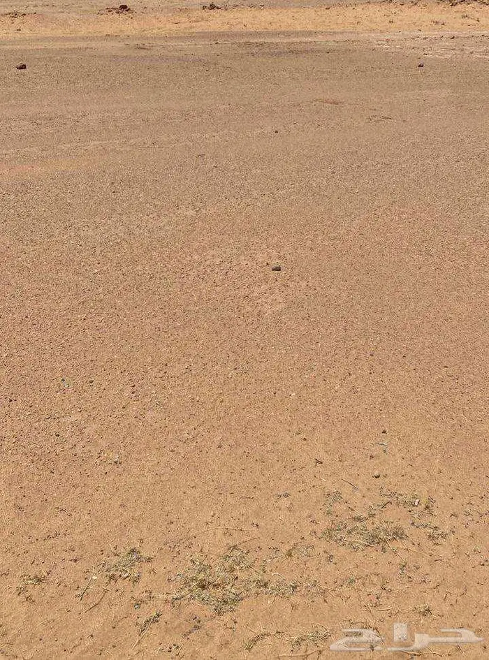للبيع ارض زراعي في منطقة الرياض 3