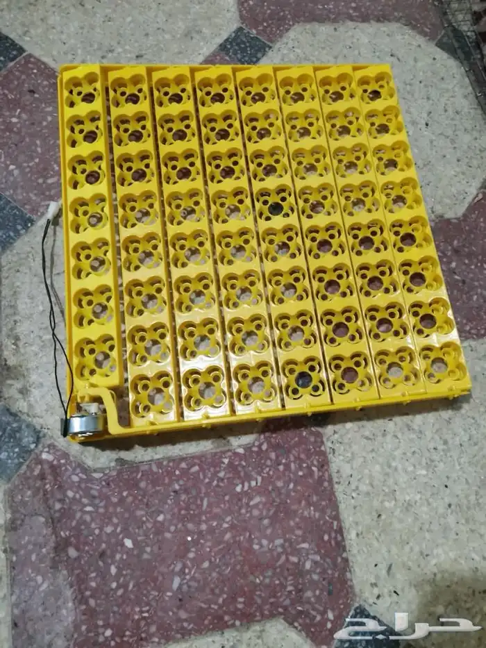 فقاسه 1