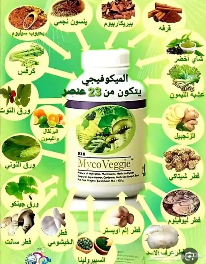 التواصل الواتساب 12