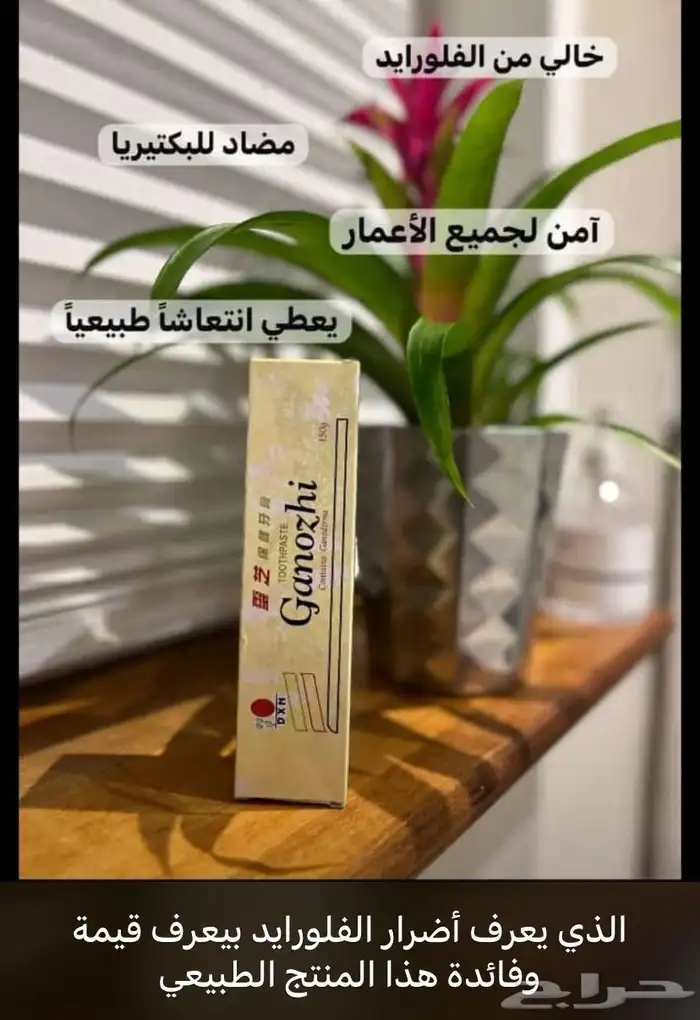 التواصل الواتساب 11