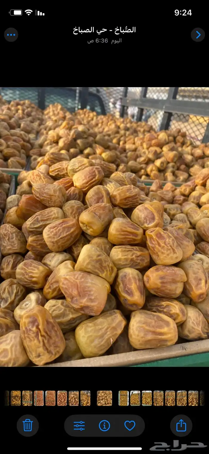 تمر القصيم خراف سنه 1447. جميع مناطق المملكه 9