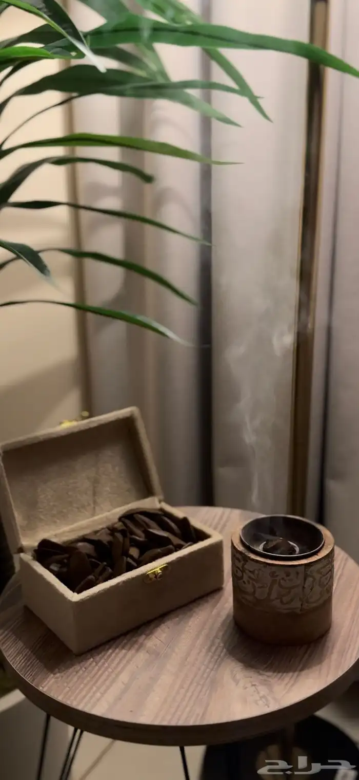 عود تايقر فاخر جدا  وثابت   عود مروكي فخم للمناسبات 2