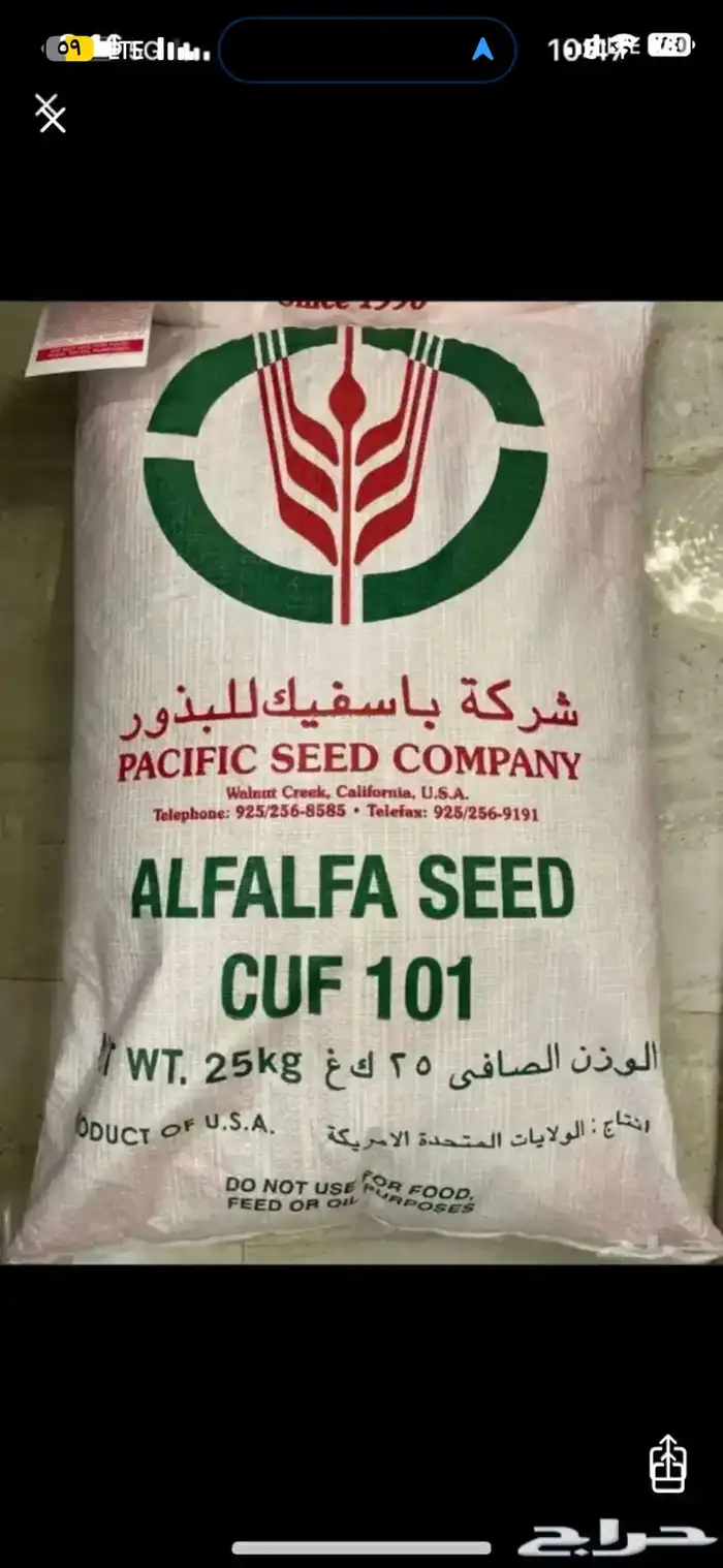 بذور برسيم كاف 101 السعر 3000ريال 1