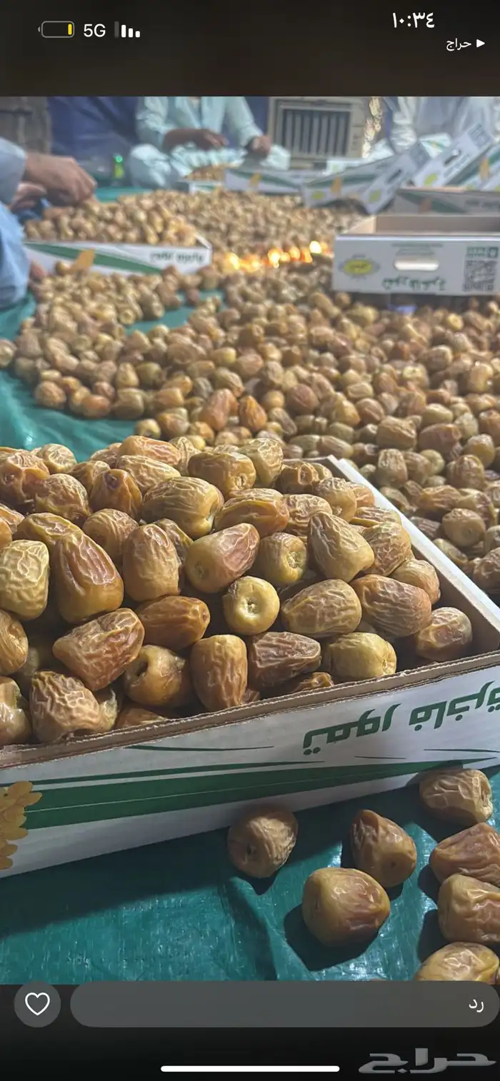 للبيع تمر سكري مفتل درجه اولى 1