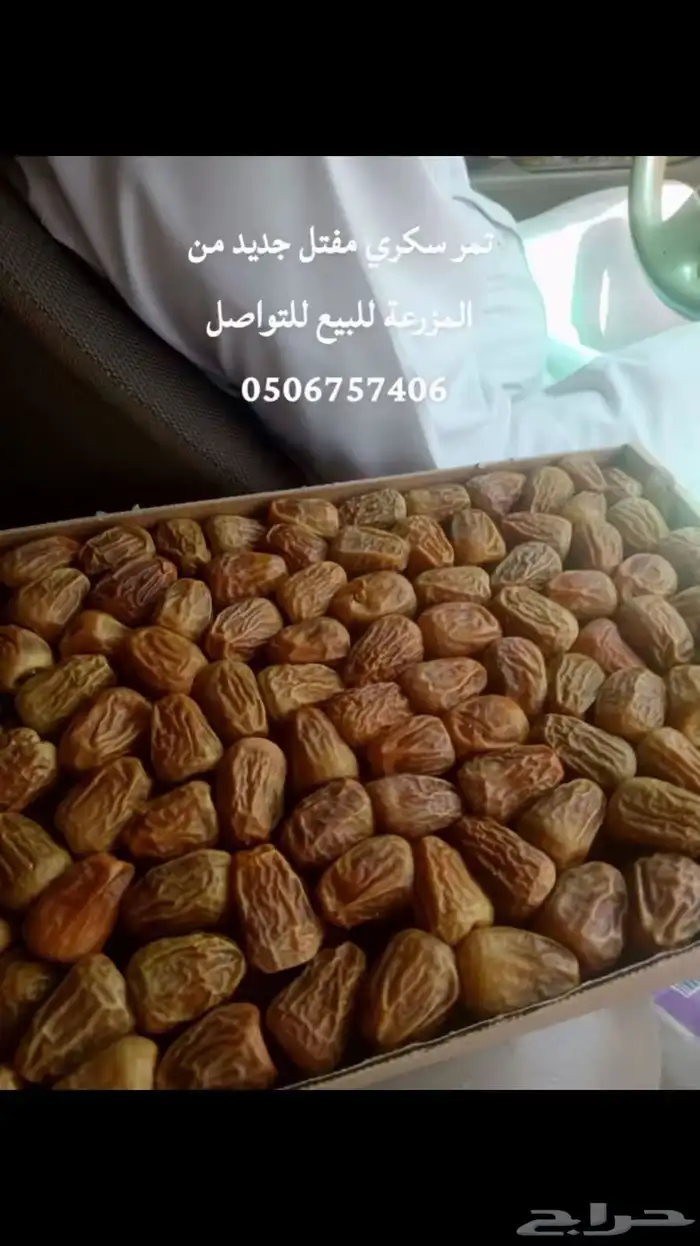 تمر سكري مفتل جديد البيع 0