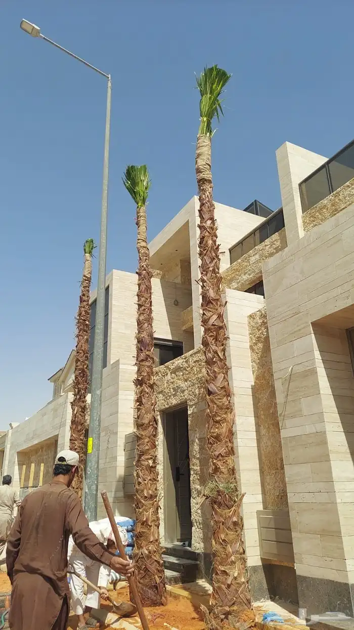 واشنطني امريكي جميع المقاصات 2