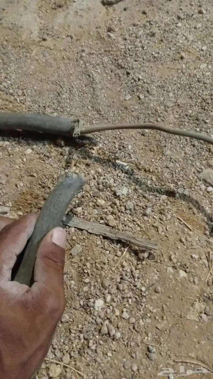 كيبل نحاس للبيع 2